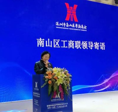 南山首個街道商會成立，匯聚業界精英，賦能企業市場開發新篇章