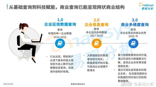 商業查詢已成社會信用基石，中國商業查詢市場發展機遇與企業在咨詢服務下的市場策略