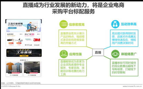 2020年中國企業采購電商市場發展研究報告 企業市場開發新路徑與戰略洞察